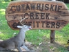 Cutawhiskie_Creek_Outfitters